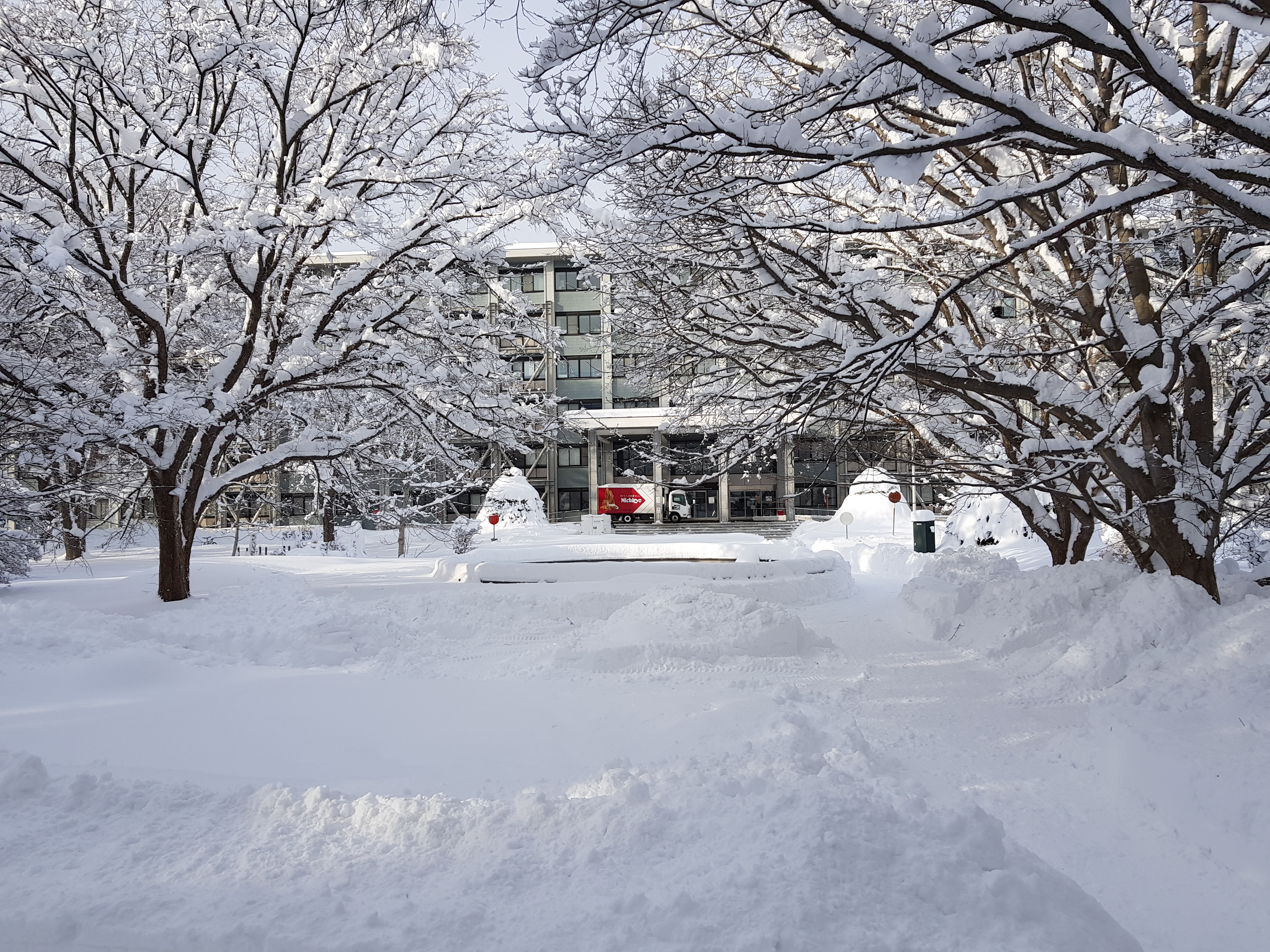 Postdoc @ Hokkaido University