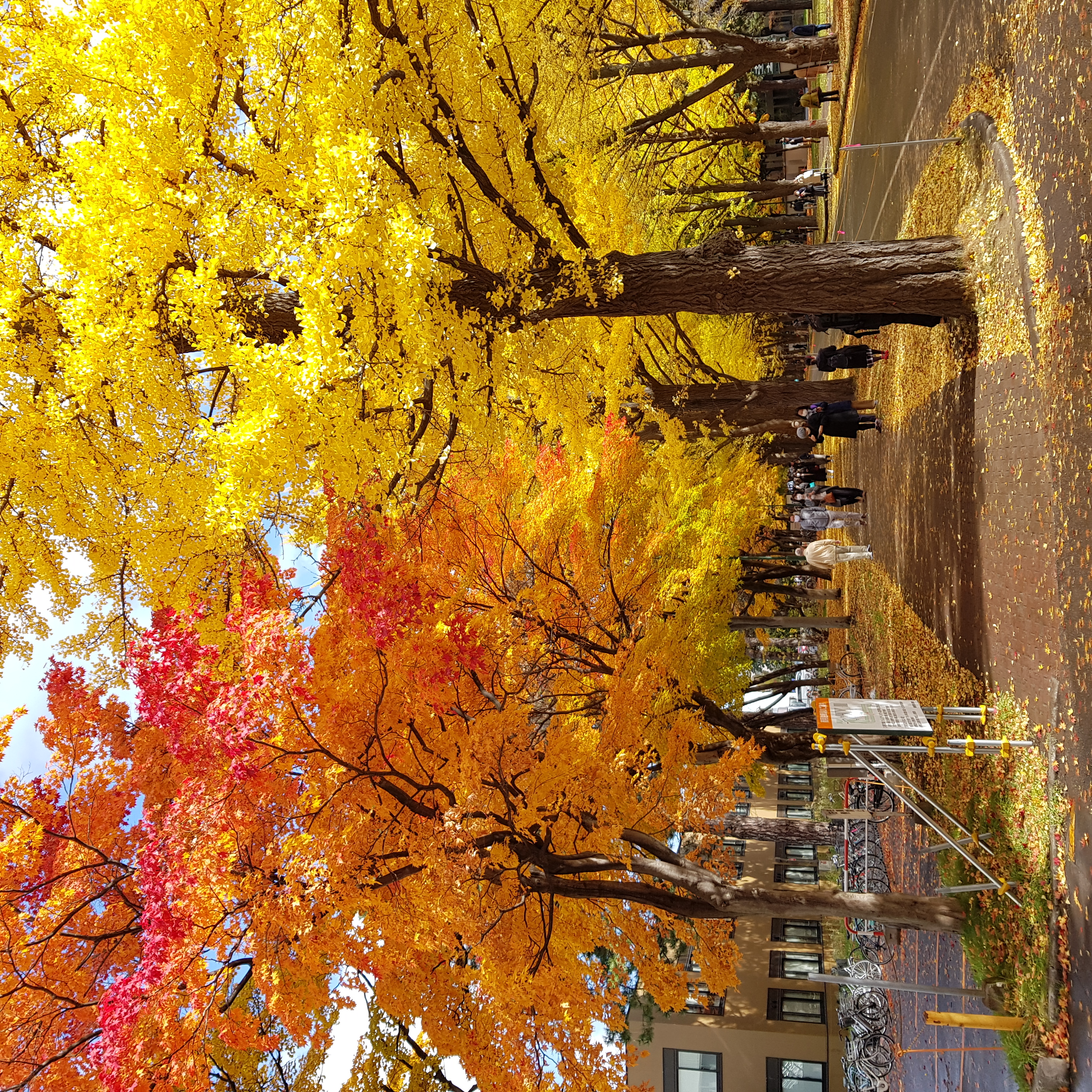 Postdoc @ Hokkaido University
