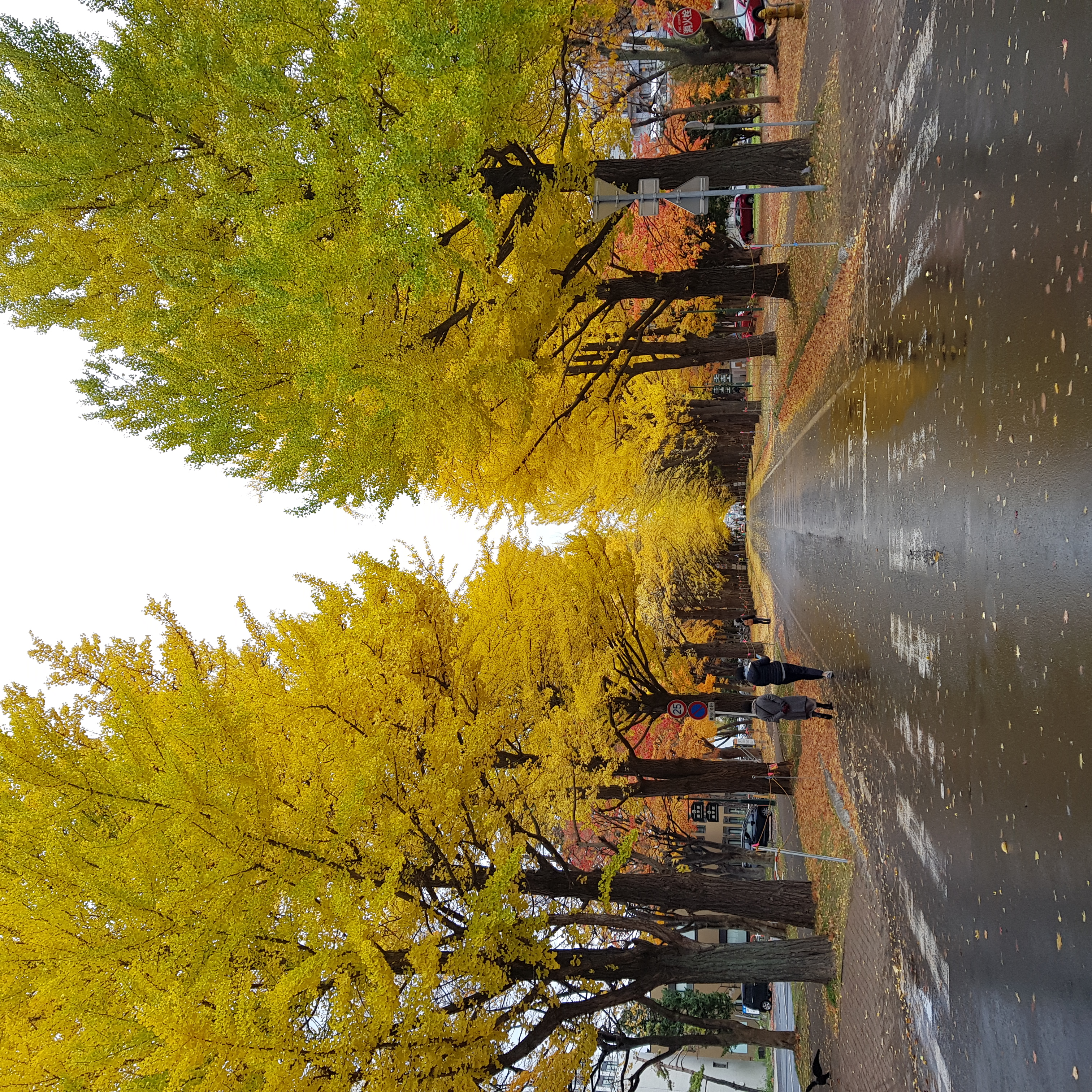 Postdoc @ Hokkaido University